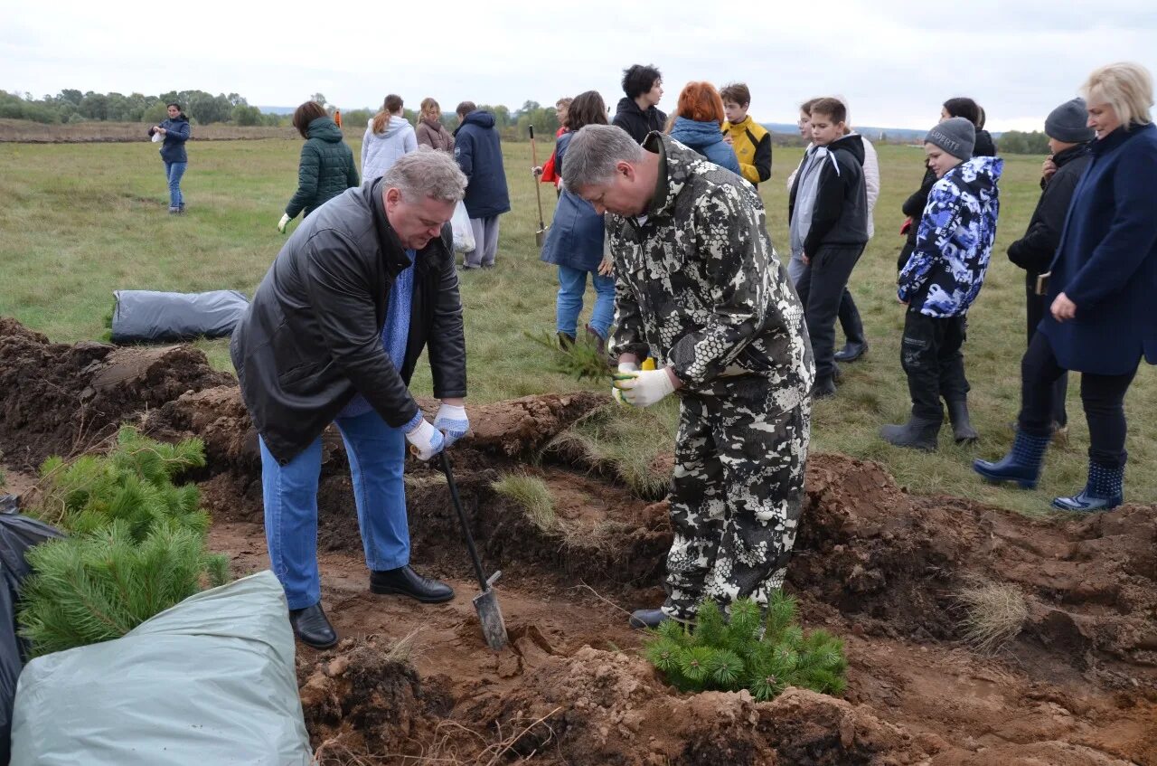 Главные новости калуги и области. Посадка деревьев экология. Акция по посадке деревьев. Высадка леса. Высадка деревьев Омск.