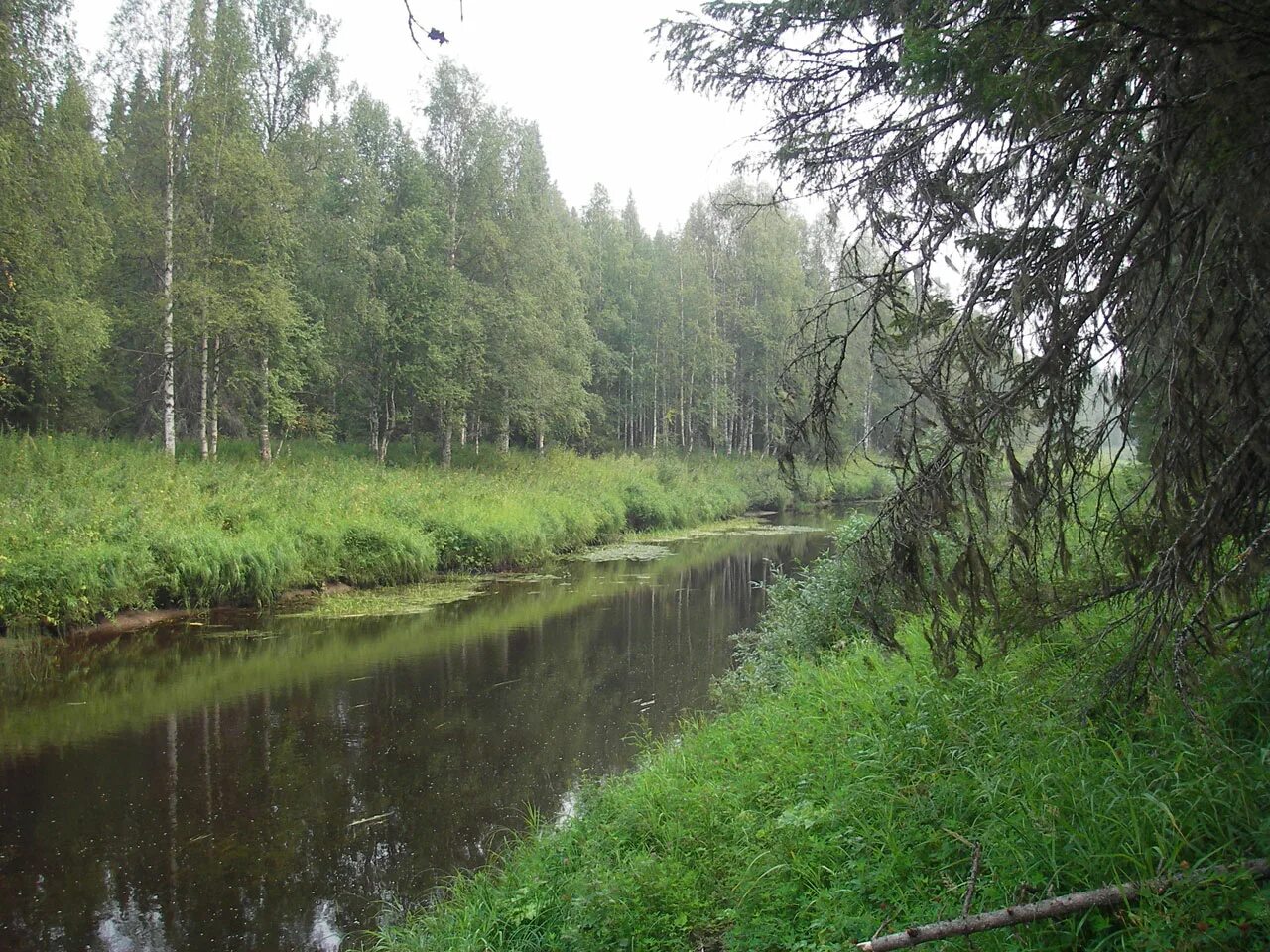 Выя (приток Пинеги). Река выя Нижний Тагил. Выя (приток Тагила). Река выя Свердловская область.