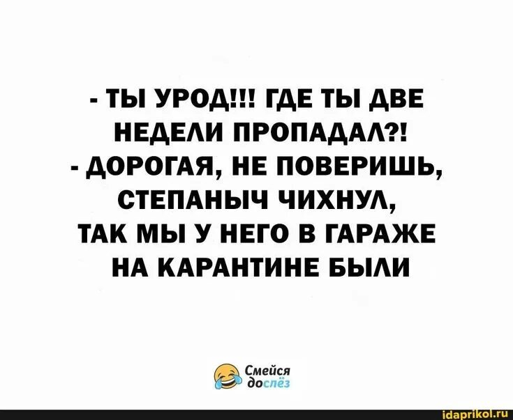 Дорогая пропала песня. Анекдоты про Степаныча. Анекдот уж чихнула так чихнула. Чихнул в шкафу анекдот.