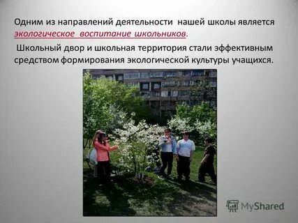 Жизнь является школой