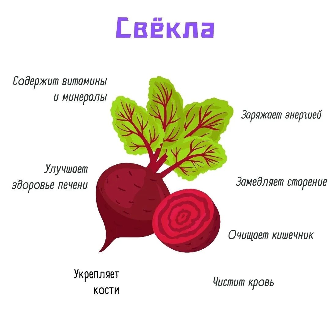 Свекла польза и вред для мужчин. Пользасвёклы. Чем полезна свекла. Чем полезна свекла для организма. Полезность свеклы.