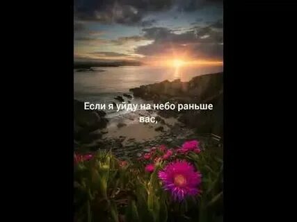 Рада уходит в небо