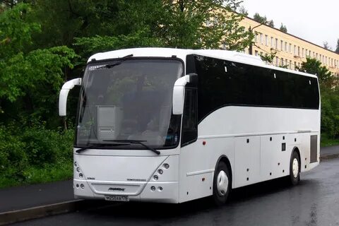 Аренда автобуса спб