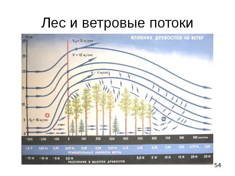 Влияние ветра на лес. Скорость ветра на разных высотах. Изменение ветра с высотой. Изменение скорости ветра.