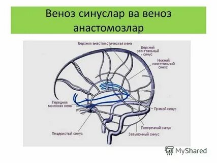 Прямой синус
