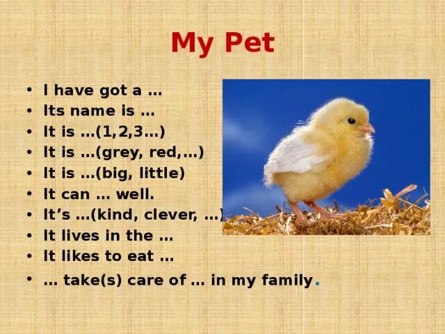 Тема my Pet. Сочинение my Pet. My Pet 3 класс. Проекты на тему my Pet.