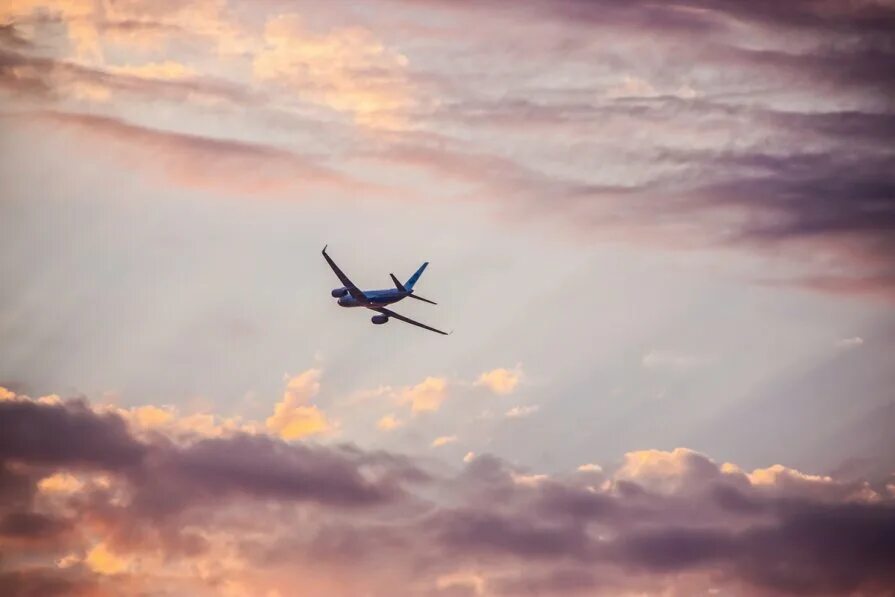 мемы про выходные смешные. мальчик водочки принеси мы домой. самолет домой. улетаю домой. лечу домой на самолете.