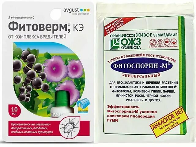 Фитоверм от долгоносика инструкция по применению. Фитоспорин от вредителей. фитоверм для профилактики. фитоверм от вредителей. фитоверм для деревьев.