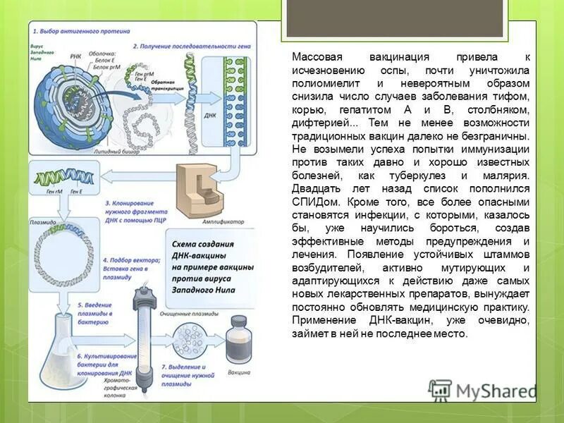 Генная вакцина