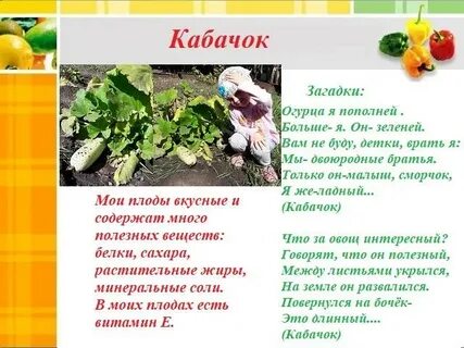 Проект про овощей