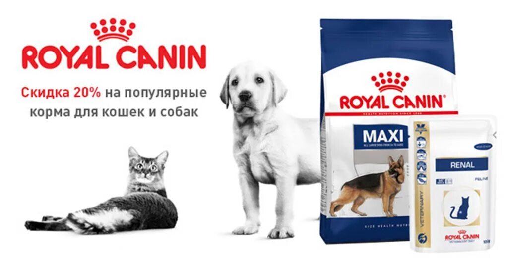 Роял Канин реклама с собаками. Роял Канин для кошек и собак. Royal Canin корм лого. Роял Канин для собак логотип.