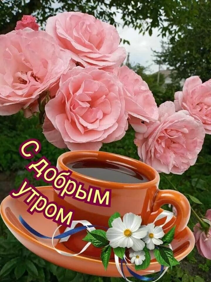 Доброе утро картинки с верою. Доброе утро розы. красивые розы с добрым утром. открытки с добрым утром с розами. доброе праздничное утро.