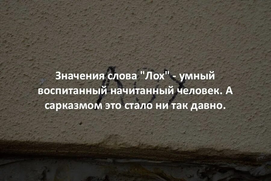 Слово лох. Лох расшифровка аббревиатуры. Что это слова лох переводится. Происхождение слова лох. Что значит лох.