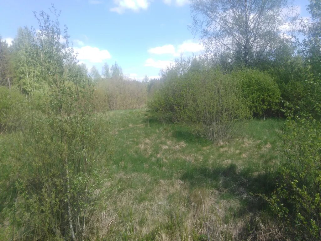 Погода кремено гатчинский