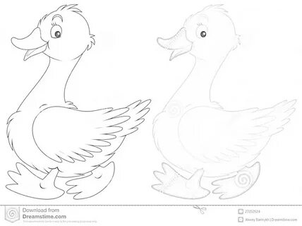 Раскраска Два весёлых гуся - один раскрашенный, другой черно-белый, гуси, птицы,