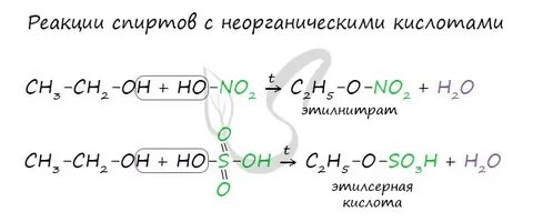 Серная кислота взаимодействует с гидроксидом меди