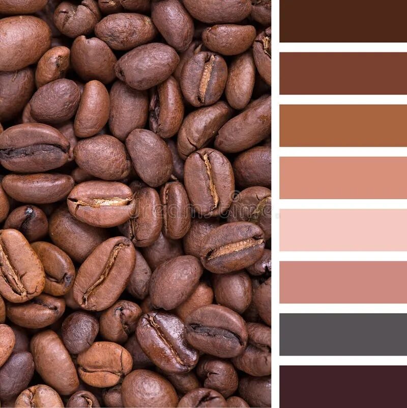 Цветовая палитра кофейный. Кофейные цвета палитра. Сочетание цветов кофейный. Оттенки какао. Сочетание цвета какао