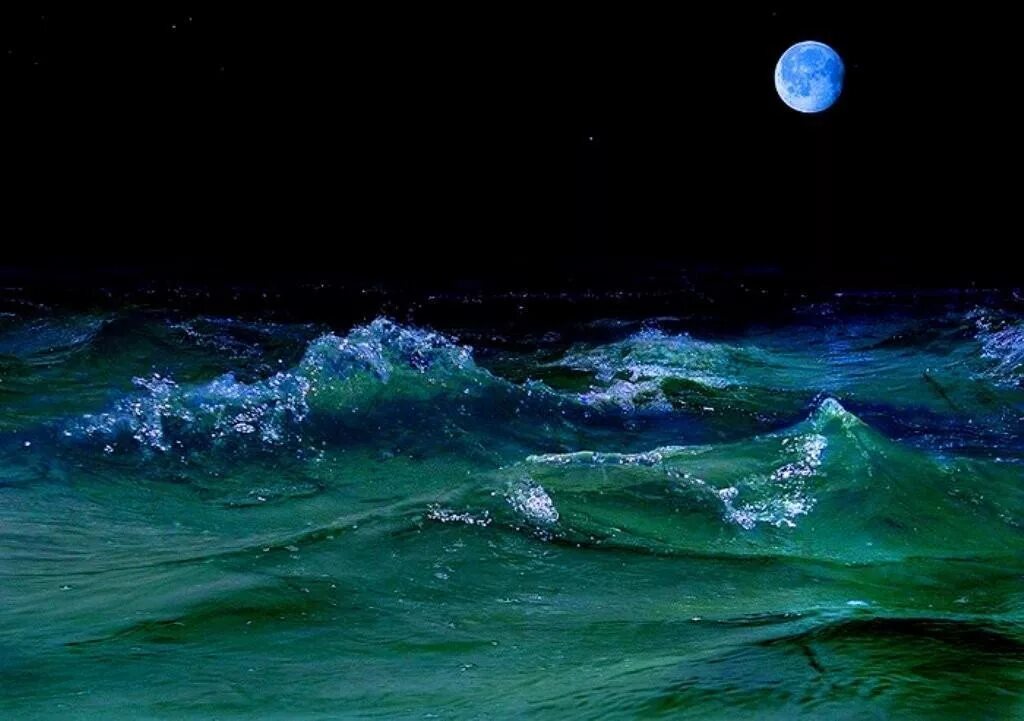 Ночное море. Ночь в море. Ночное море волны. Луна и море. Притяжение воды в океанах луной