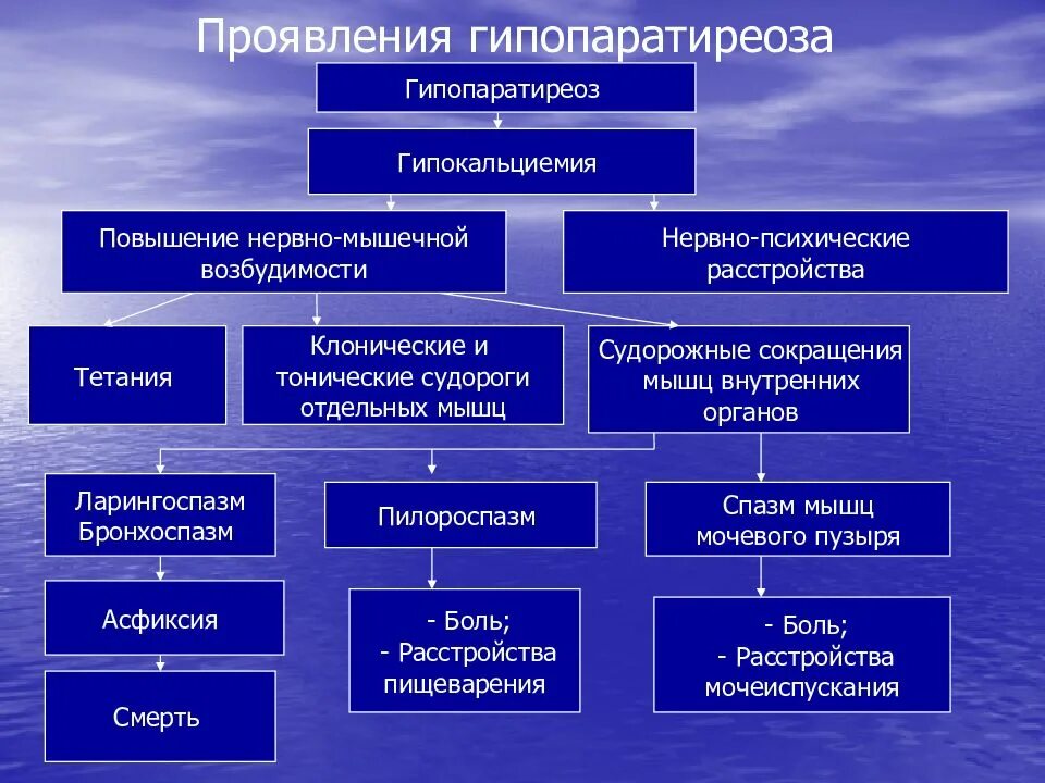 Гипопаратиреоз симптомы. Гипопаратиреоз патогенез патофизиология. Патогенез механизм развития гипопаратиреоза. Гипопаратиреоз клинико лабораторные проявления. Гипопаратиреоз этиология патогенез.