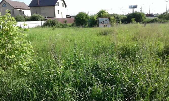 Деревня ивлево. Село липовка саратовская область лысогорский район. Село липовка лысые горы ул. Деревня ивлево подольский район. Ивлево деревня московская область.