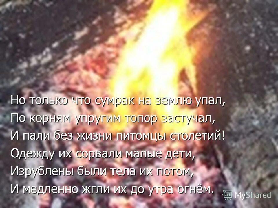 Одежду их сорвали малые дети это
