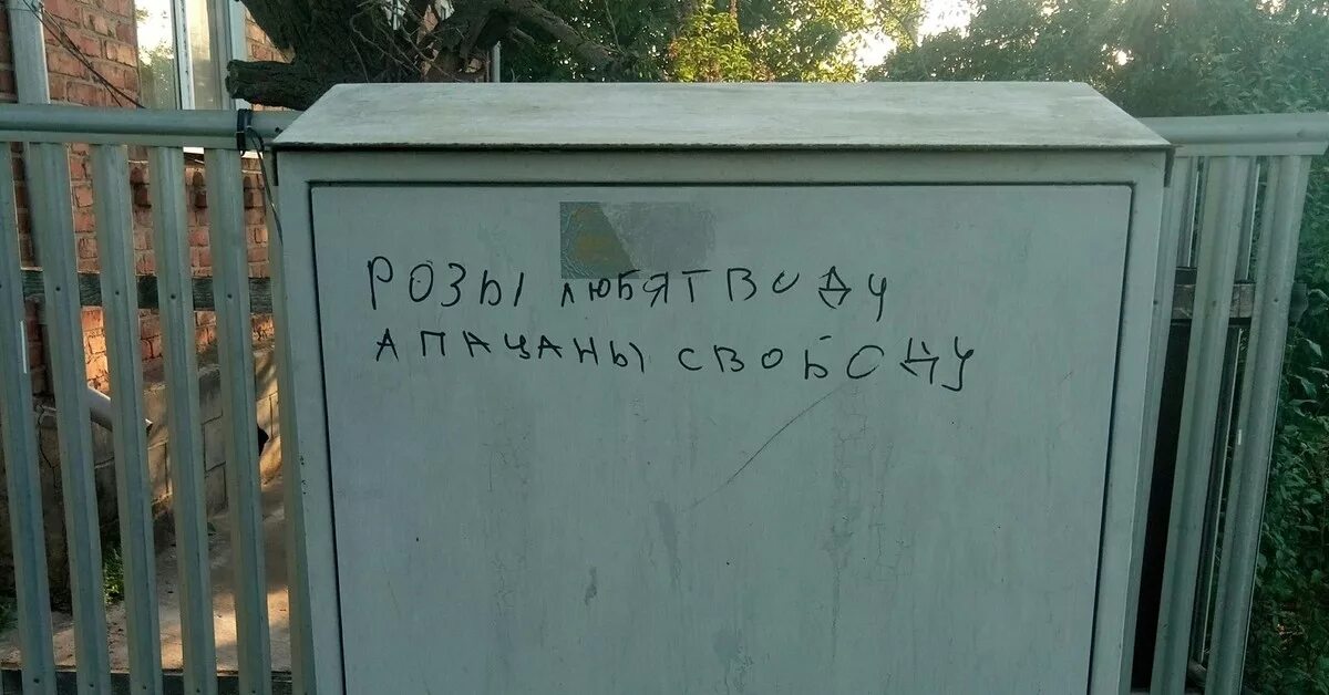 Запомните твари цитаты. Пацаны с моего двора. Пацаны любят воду. Розы любят воду пацаны свободу. Вор ауе.