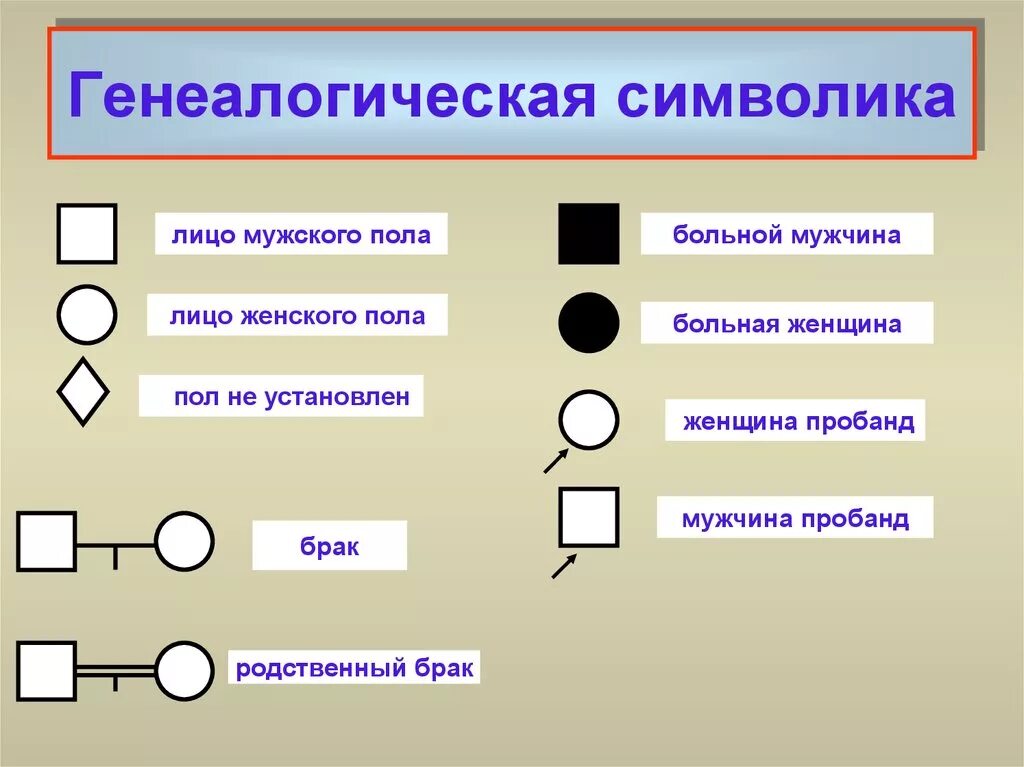 Условные обозначения в генеалогическом древе