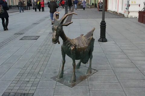 Коза нижний новгород