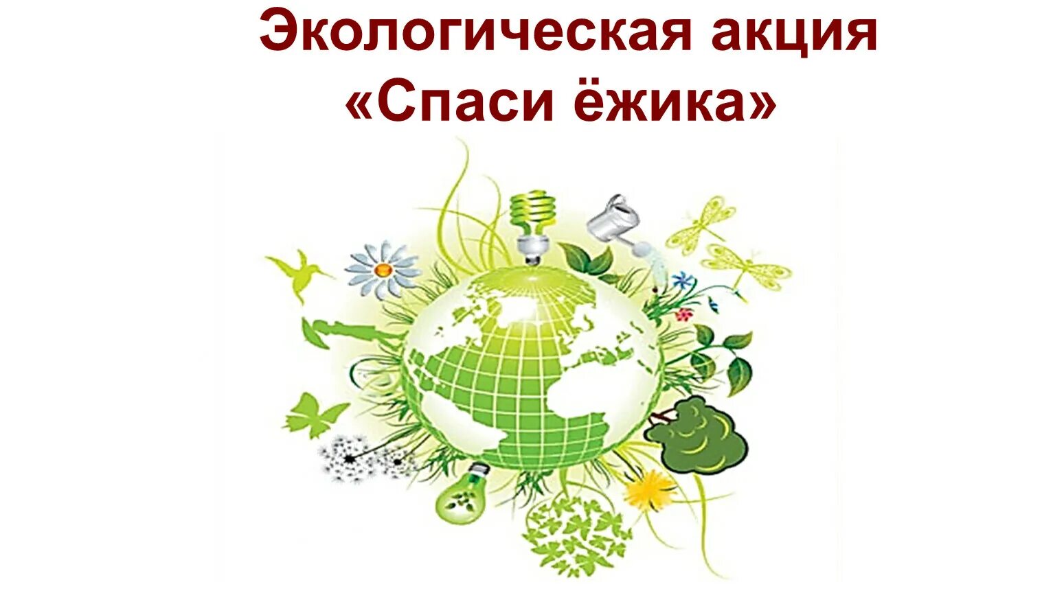 Акция спасем ежика батарейки. Акция спасем ежика. экологическая акция. акция спаси ежика. экологическая акция картинка.
