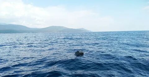 Море тв русский