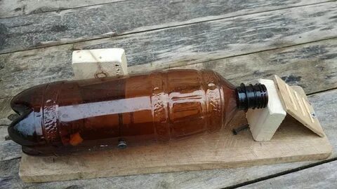 Мышеловка из бутылки