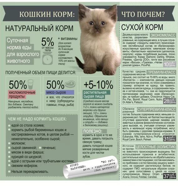 Каким кормом можно кормить котят. Как кормить котенка 2 месяца сухим кормом. Рацион кормления 1,5 месячного котенка. Как кормить котенка в 2 месяца. Как кормить котёнка в 2 месяца кормом.