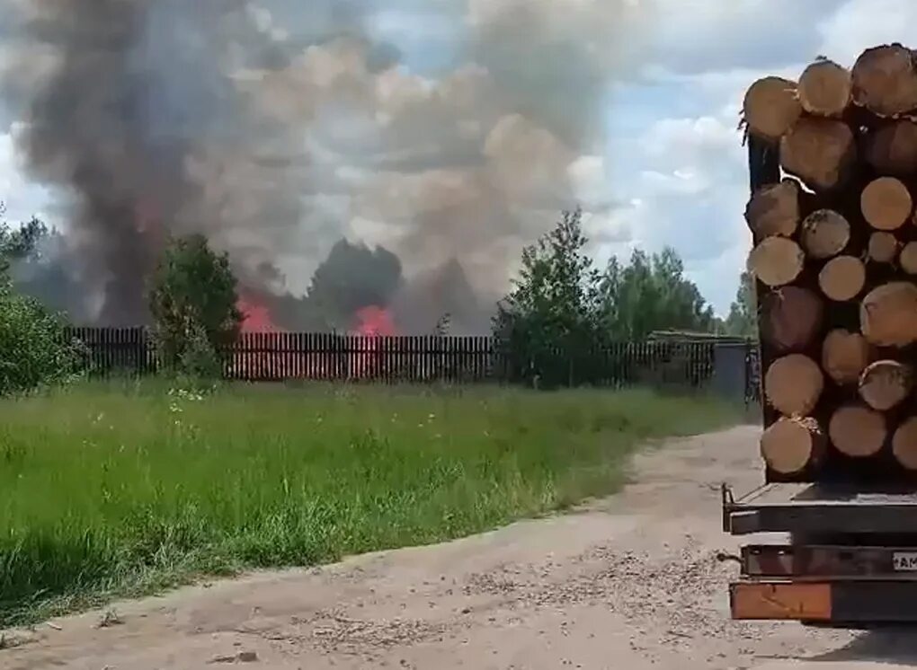 Типичный касимов свежие новости. Пилорама Касимов. Пилорама в Рязанской области. Типичный Касимов. Пилорама загорелась.