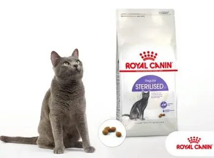 37 для стерилизованных кошек