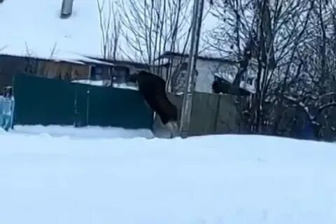 Расписание гордино шаховская