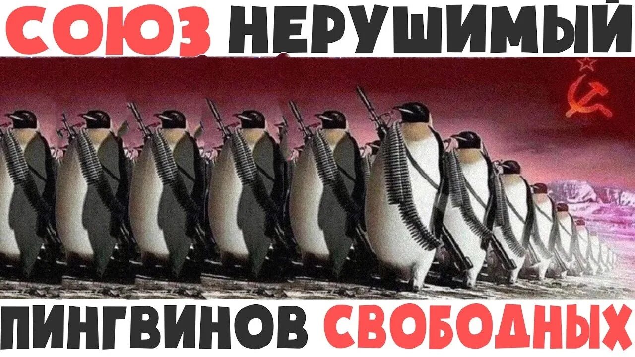 Нерушимый 9 читать полностью. Союз нерушимый пингвинов свободных. Пингвин СССР. Армия пингвинов. Пингвин коммунист.