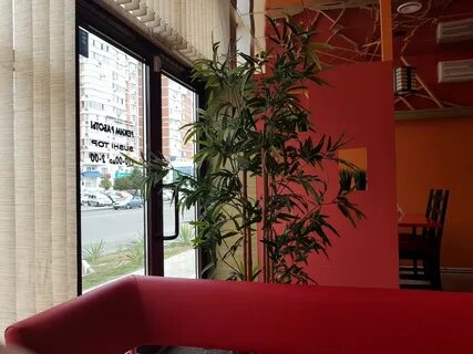 Top top краснодар