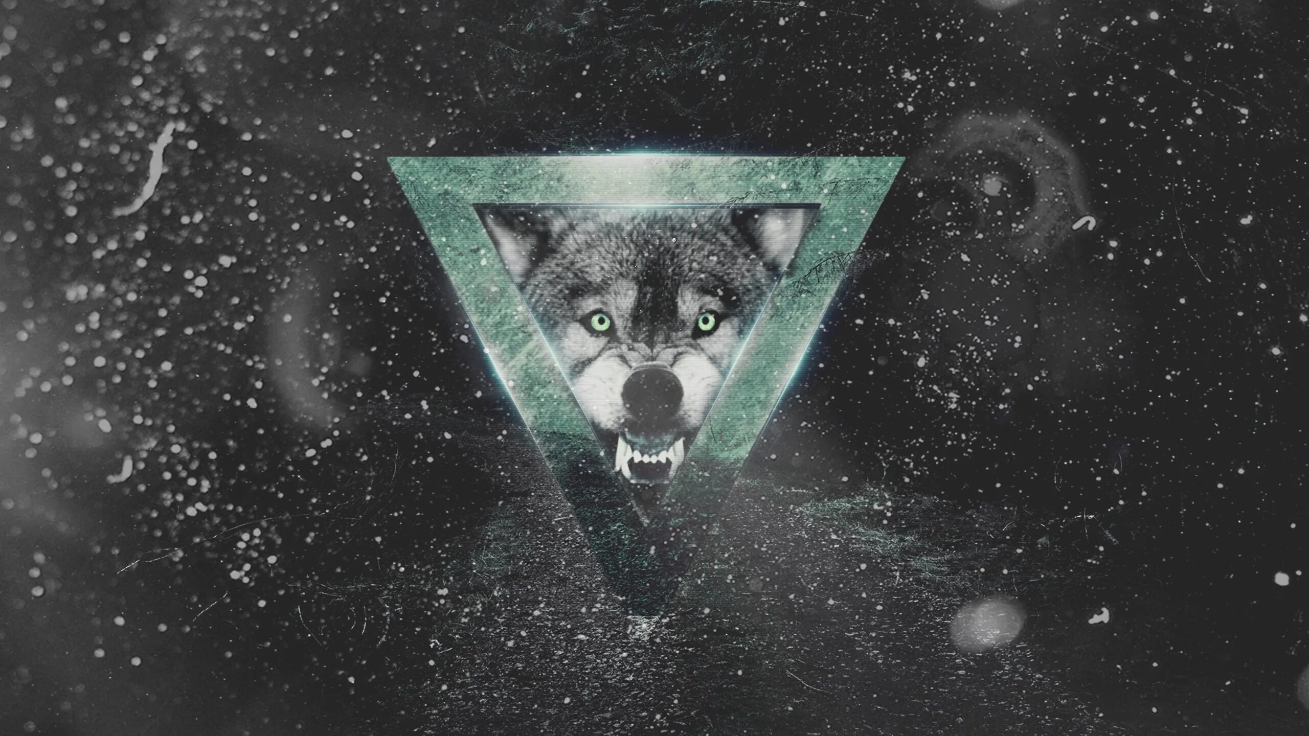 Wolf gaming wallpapers. Monochrome Wolf Darkness Wallpaper.