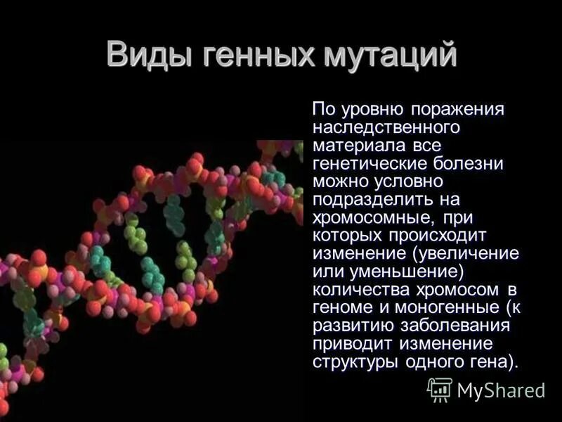 Типы генных мутаций. Типы генных мутаций