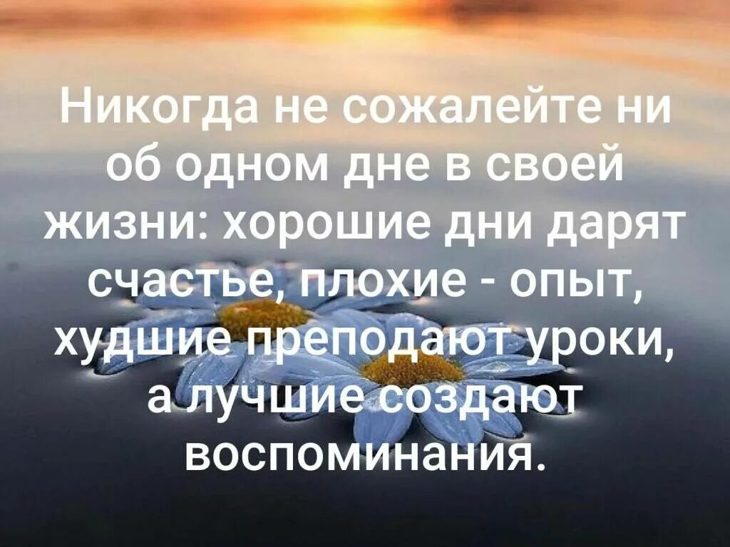 Про уроки жизни. Никогда не жалейте ни дня прожитой жизни. Никогда не сожалейте ни об одном дне в своей. Не жалею ни об одном дне. Никогда не жалей ни об одном дне в своей жизни.