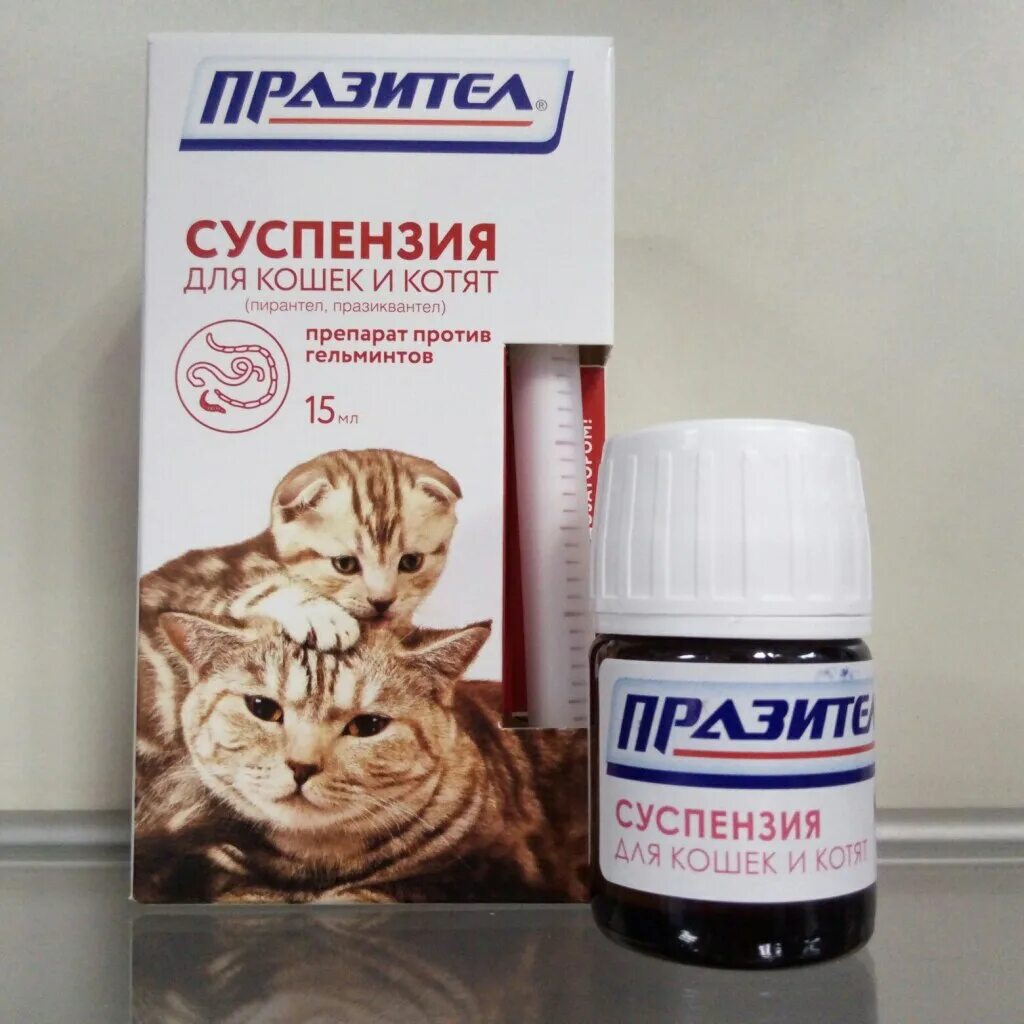 Пирантел суспензия для кошек. Пирантел суспензия для кошек дозировка. Шприц празител суспензия. Глистогонные препараты для котят 2 месяца. Против паразитов для кошек против глистов таблетки.
