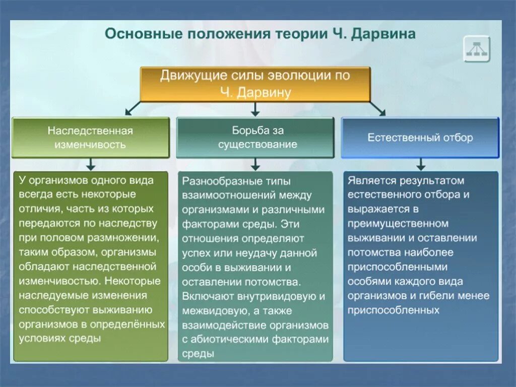 Основные положения эволюционной теории ч Дарвина таблица. Основные положения теории Чарльза Дарвина 9 класс. Основные положения теории Чарльза Дарвина об эволюции органического. Основные положения учения Дарвина таблица.