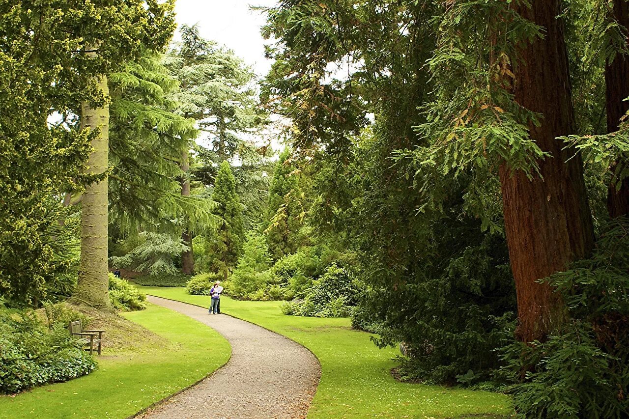 There is big tree in garden