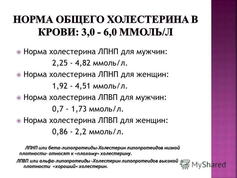 Холестерин липопротеинов норма у женщин