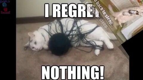 I could do nothing