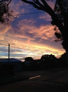 Another evening