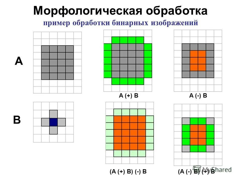 места морфологический