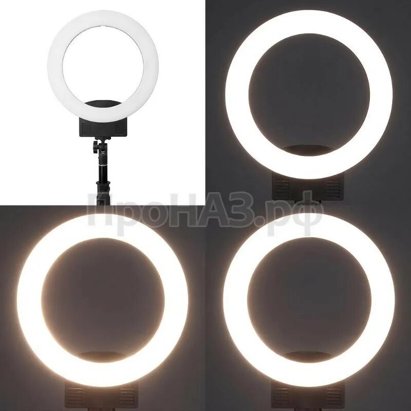 Кольцевая лампа видео. Кольцевая светодиодная лампа led Ring fill Light 26. Ring fill Light lc330 Кольцевая лампа. Кольцевая лампа 5500. Кольцевая лампа led yd-009.