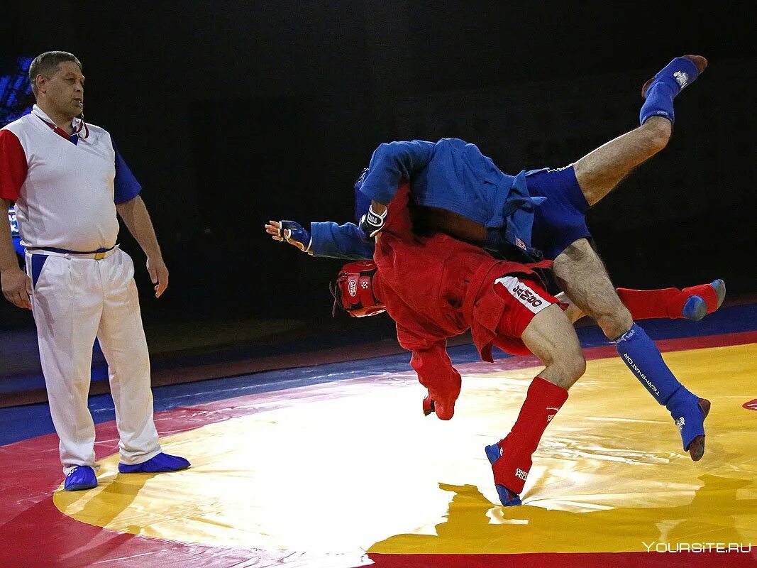 Спортивное и боевое самбо. Спорт боевое самбо. Самбо юноши партер. Комбат самбо. Боевое самбо турнир