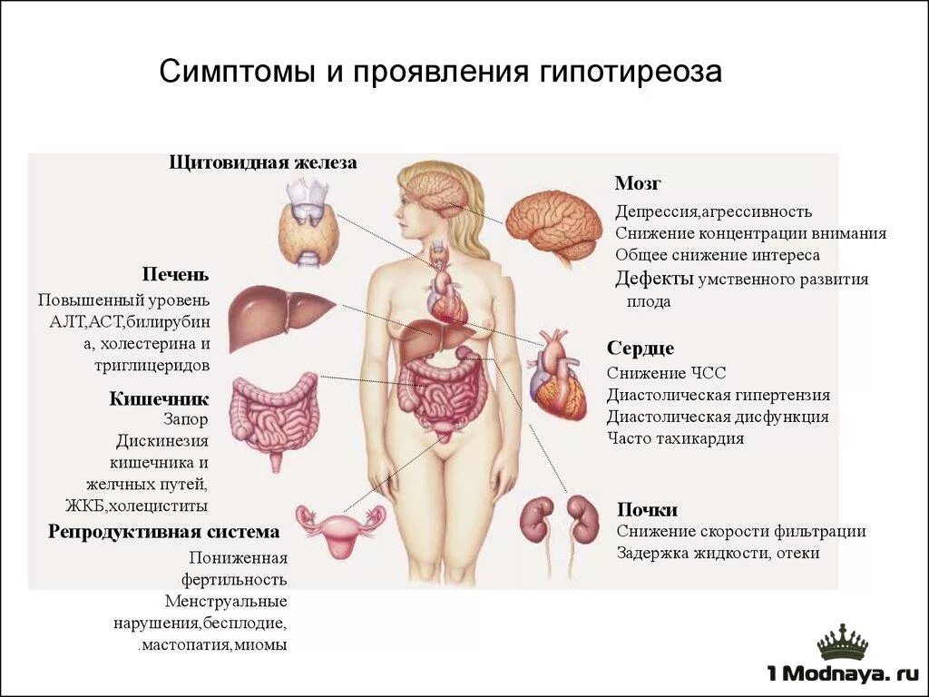 Гипотиреоз проявления. Гипофункция щитовидной железы симптомы.